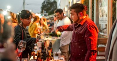 EXPOVINO 2025: LA IMPERDIBLE FIESTA DEL VERANO PORTEÑO SE VIVIRÁ EN EL PASEO YUGOSLAVO