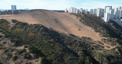 Municipalidad de Concón lamenta rechazo de Reconsa para formar parte de la mesa por el cuidado del Campo Dunar