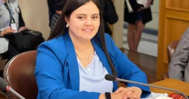 ​»Matthei en la mira: Partido Social Cristiano la acusa de ‘desesperación’ y ‘debilitar’ a la derecha»