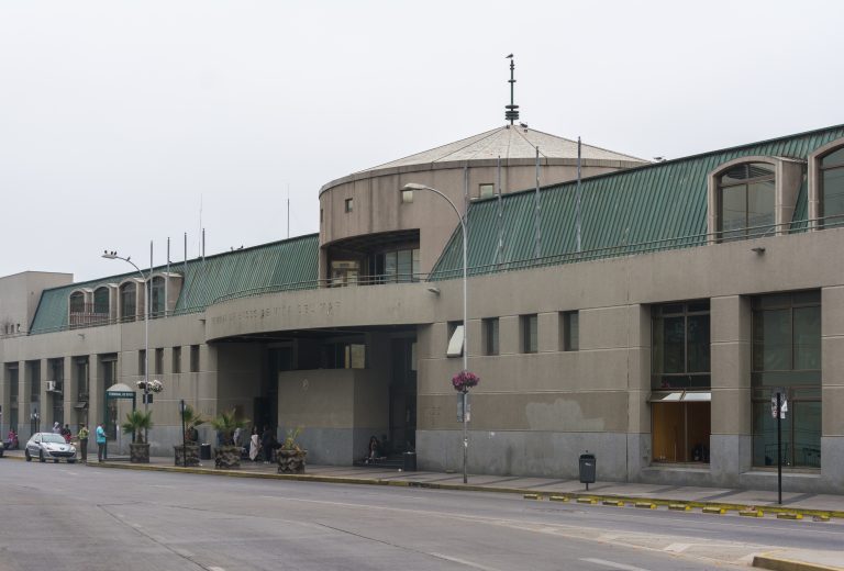 Rodoviario,_Viña_del_Mar_-_2019-02-03_-_01